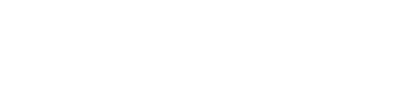 全新精奇载具